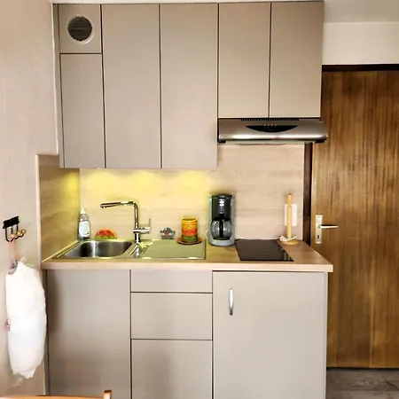 Avec Balcon, Animaux Admis - 4 Pers. - Fr-1-629-156 Apartment *